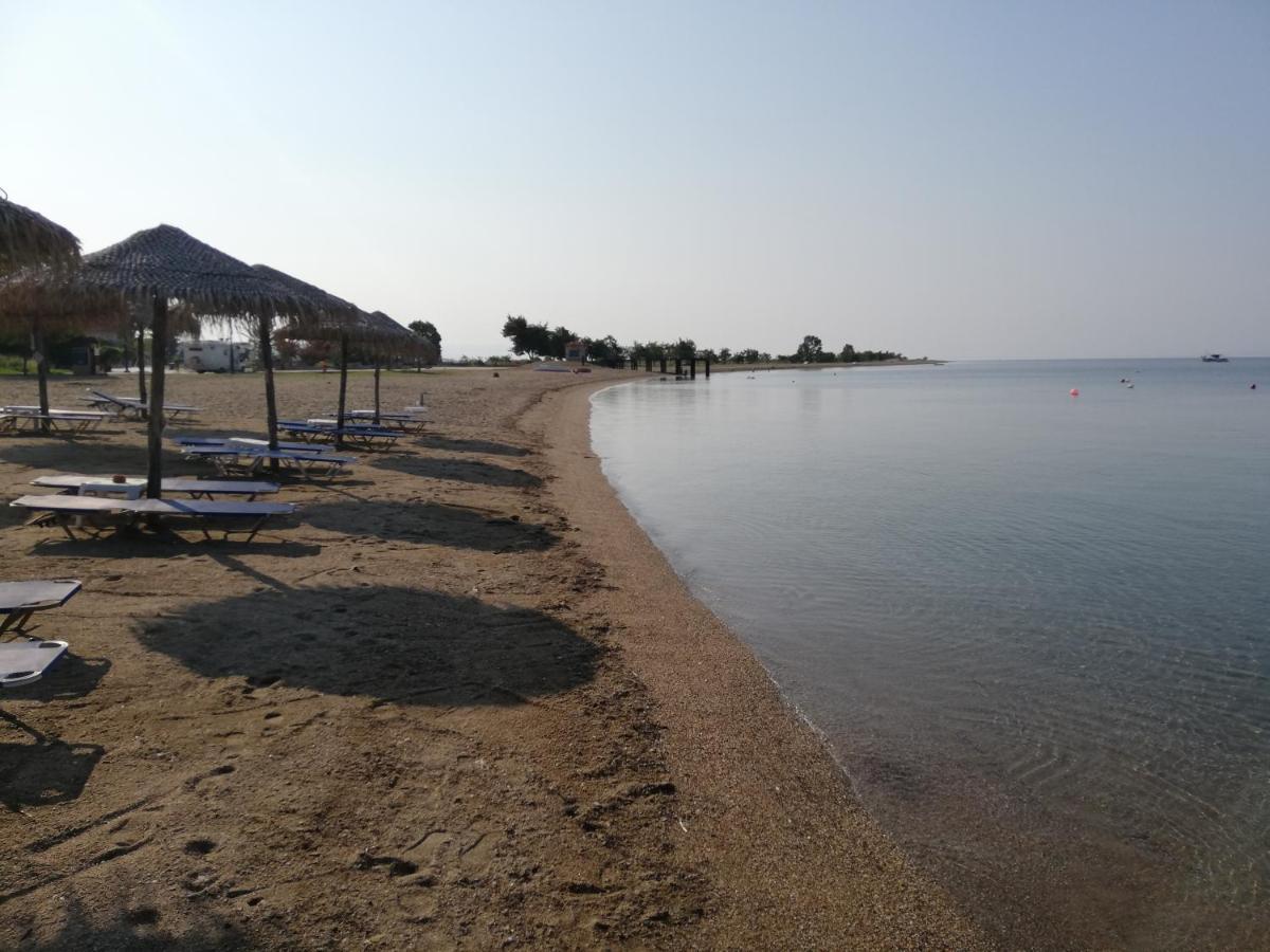 Elpida Stone House Διαμέρισμα Ψακούδια Εξωτερικό φωτογραφία